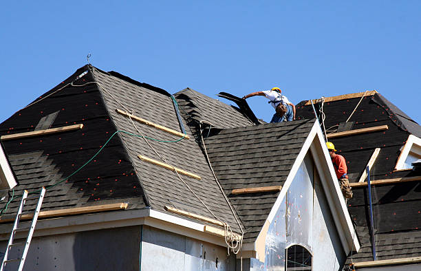 Best Roof Gutter Cleaning  in Lander, WY